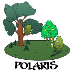 Polaris – 100g cônes